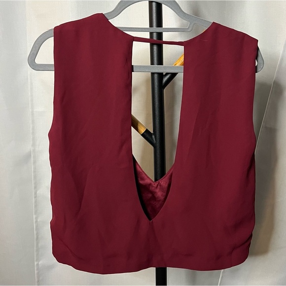 Olivaceous Burgundy Plunging Crop Top - Picture 3 of 6